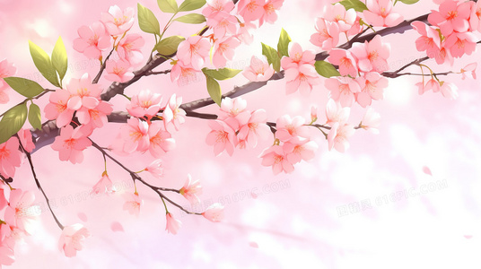 速度迷必看：速度与激情10全球公映时间表详解