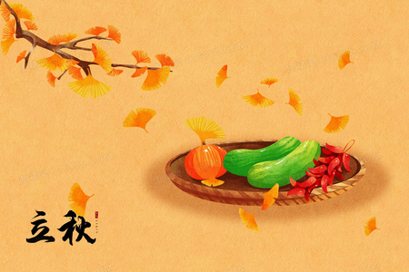 向山进发第三季:风雪中的温暖与勇气