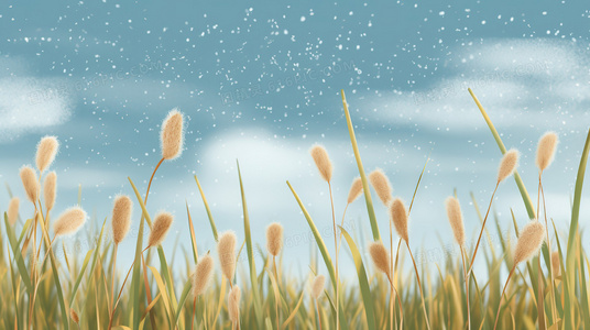 厨房之厨王争霸赛全网独播:顶级名厨对决,见证巅峰厨艺!