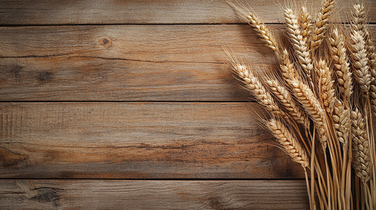 轻松治愈系日常！佐佐木与宫野第一季全网免费观看途径