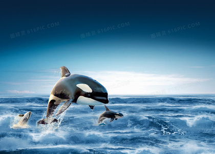 海水、秘密与愈合：涨潮海岸中的环境与心理交织