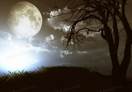 沙漠风暴再起：大漠之战未删减版在线观影指南