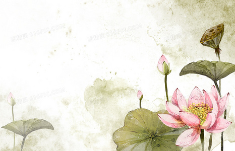 剧情深度解析：2020怪曽大作战背后的世界观