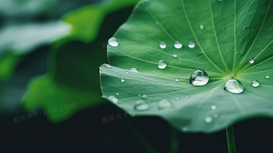 好朋友们的英语：场景化学习，沟通零障碍