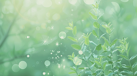 ——突出信息错位导致的命运转折