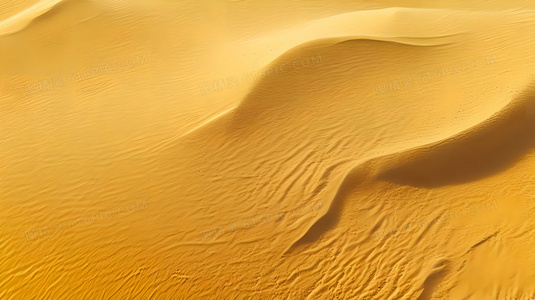 量子启示录2：概率风暴——在无限可能性的乱流中锚定未来