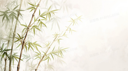 当谎言褪去，真爱浮现：胖子爱情的错误结局与正确开始