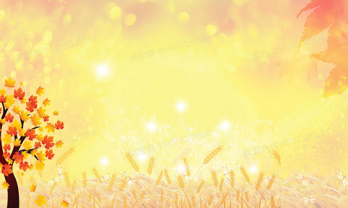 罪与恶的距离:法律与道德的灰色地带