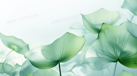 跨越阶级与健康的爱情：白朗宁夫妇私奔事件的社会回响