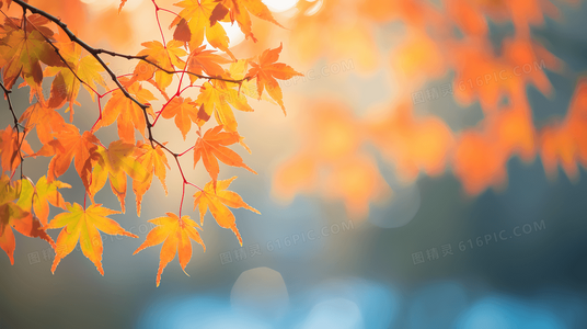 探索西西里：面积如何塑造其历史与文化多样性？