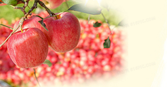 抗生素战争:看不见的战场与人类的生存博弈