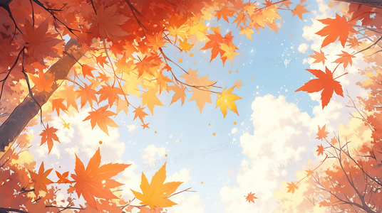 粉丝必看：懿想天开泳装特辑具体期数及经典片段汇总