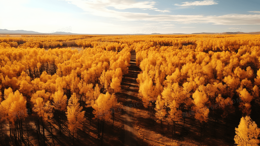 群星演绎文字江湖：法兰西特派员中角色与作家精神的互文性