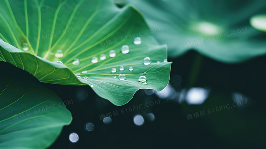 家庭观影推荐:极速赛车手励志冒险故事在线观看