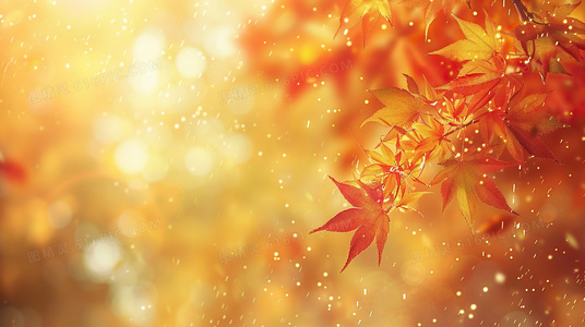 从地球到外星球：太空熊猫全系列场景设计与宇宙观探索