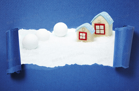 避开这些误区,你的丹麦迷你玫瑰才能茁壮成长