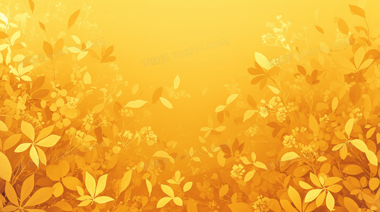 在时光的罅隙中，寻找第二次选择的机会