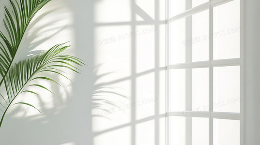 塔图因的双阳之下:沙漠星球的外星社会与边缘生存