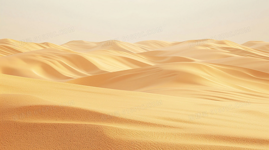 深海杀机:揭秘食人鲨游戏的生存法则