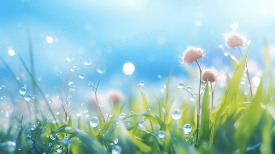 立即订购 vs 加入购物车：两者区别与使用场景