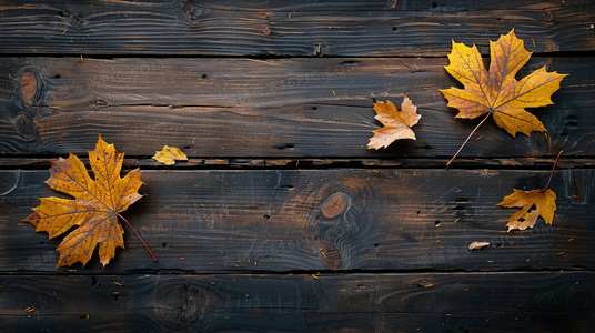 终局序章：圣城审判与莫凡的抉择