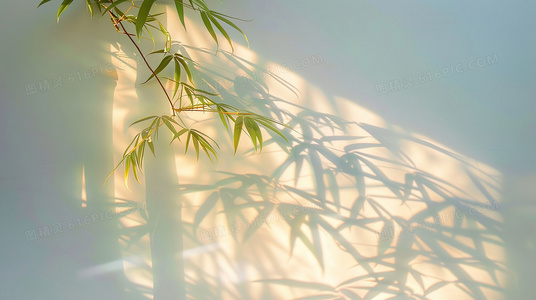 WTO姐妹会现象:娱乐节目如何成为社会教育的窗口