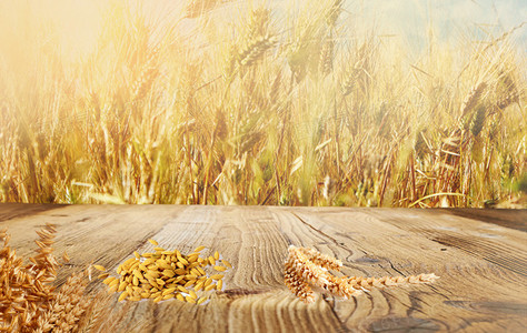 每个孩子都是天赐的礼物——天赐宝贝核心主题探讨