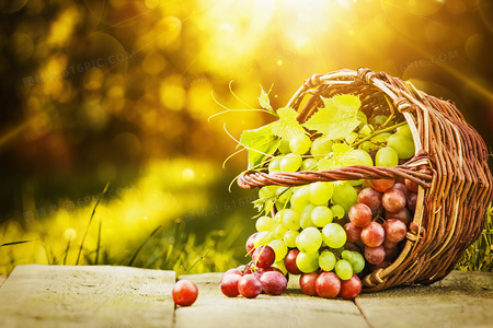 虎兄豹弟未删减版资源流出?免费观看需谨慎