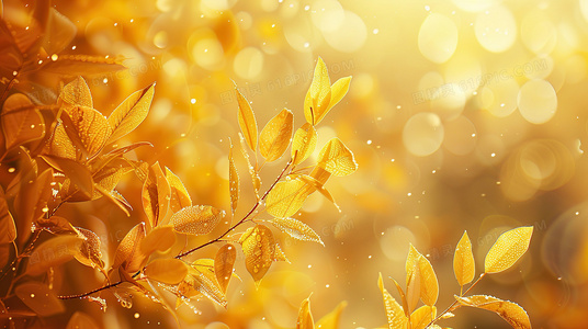 季终悬念盘点:多米娜第二季8集剧情全解析