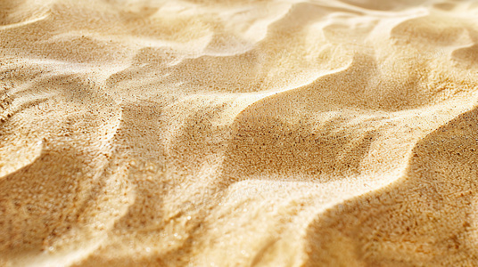 飞盘相对论:当时间在追逐中变慢的物理学