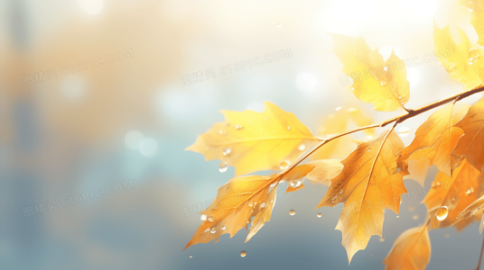 羽翼映云影,人间有清欢