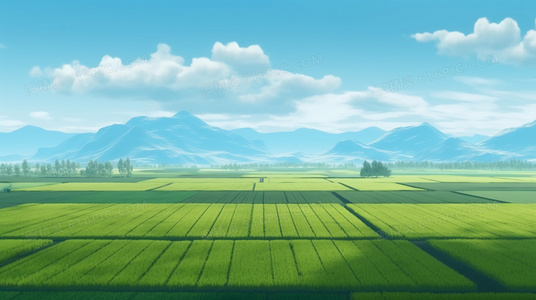 血汗与梦想:一个拳击手的自我超越之路