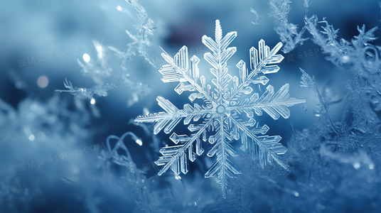 面具与真相:三张面孔评价中的多重身份困境解析