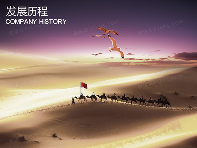 数字时代的永恒记忆：数据存储与遗忘的权利