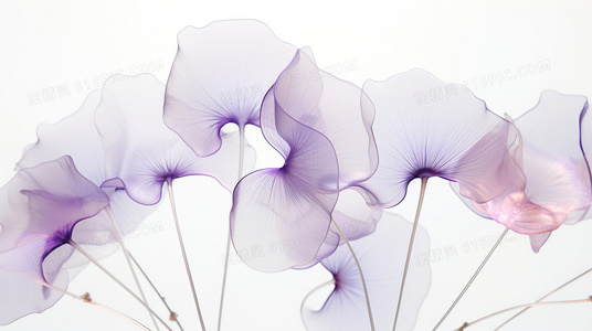 从演员表窥探真相:神秘失踪的船中,谁的角色最先“消失”?