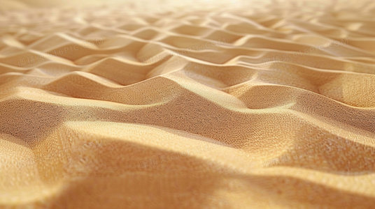 扫径迎君至,蓬荜顿生辉