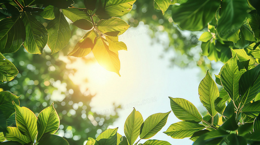 坠落画境的你：当现实成为画布，爱是唯一的出口