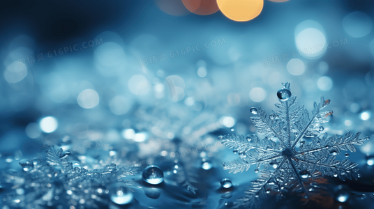 麦康纳法则:从华尔街之狼到人生赢家的蜕变