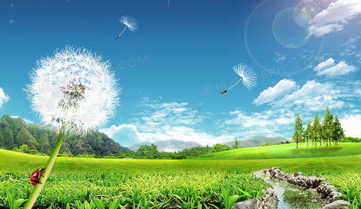 草莓公园App是什么？如何用它发现附近有趣活动？