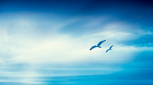 悬念重重!小镇杀机安卓游戏现已开放下载