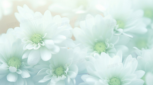 从农事到心性:大雪冬至解读的跨时代对话