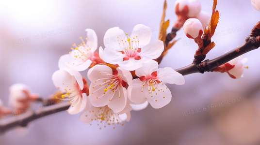 生肖解读:哪些生肖容易有“赶尽杀绝”的性格特质?