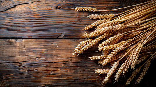 暗网交锋:魔卡行动终极解码