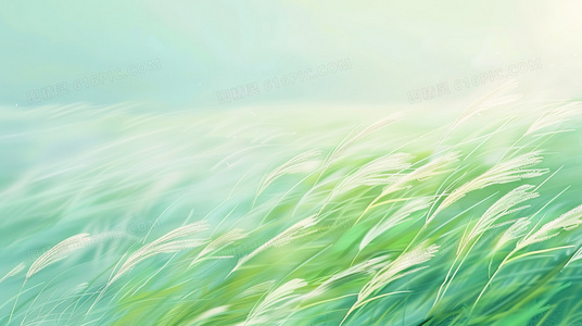 珍禽图谱：10种色彩斑斓的稀有鸟类及其栖息地