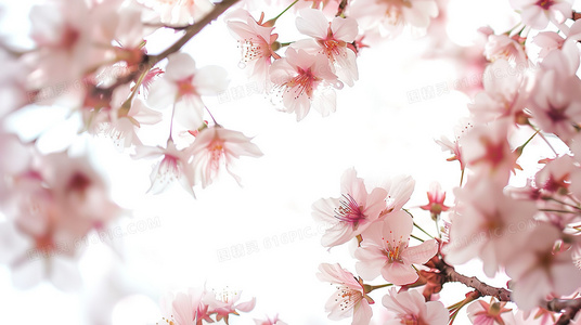 重温历史瞬间永远的记忆之血战黎明前百度网盘在线观看链接