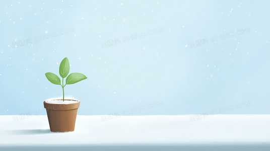 婚礼2017播出信息盘点:电视与网络平台全覆盖