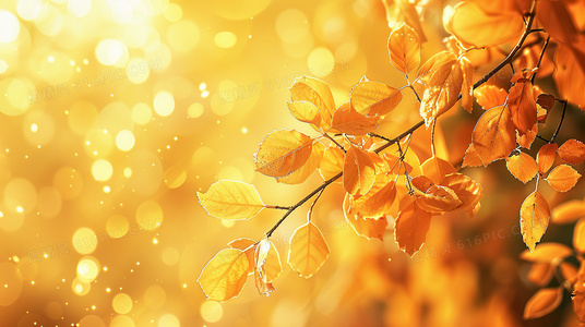 龙之心4:心火之战影评:新篇章是否延续系列经典?