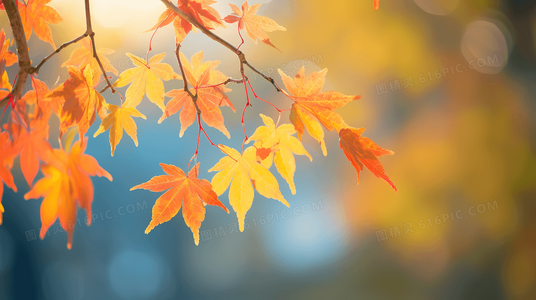 支持开发者还是选择破解?恐怖走廊2正版与盗版之辩