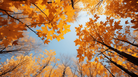 超越语言的共鸣:不可思议的旅程为何风靡全球读者