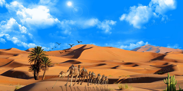 全网热搜离婚文学:夫人又在闹离婚了完整资源